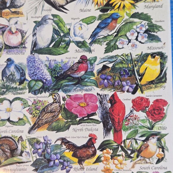 White Mountain Puzzles Sate Birds & Flowers 1000 Piece Jigsaw Puzzle NWT - Picture 3 of 9